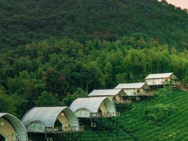 境见茶野里野奢帐篷露营地