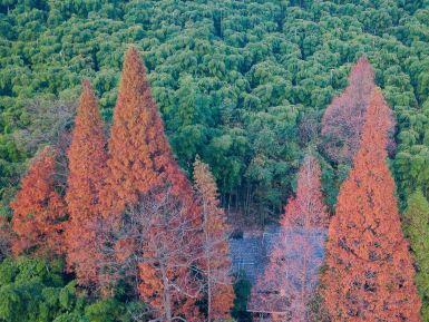 莫干山风景名胜区