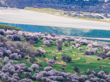 波密桃花沟