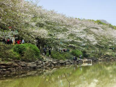 湖南省植物园