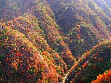 深山红色旅游景区