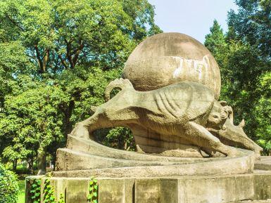 中国科学技术大学