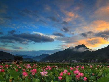 曹县生态花海公园