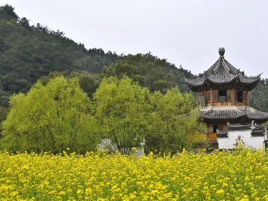 李坑景区