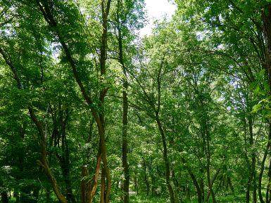 螺子山生态公园