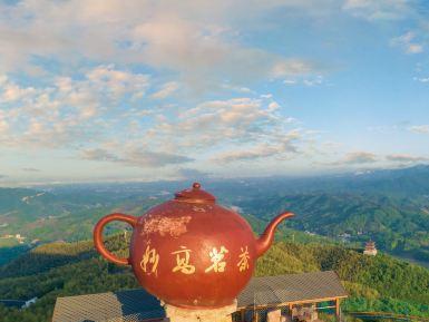 西九华山风景区-茶山观赏区