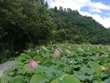 仙人岩