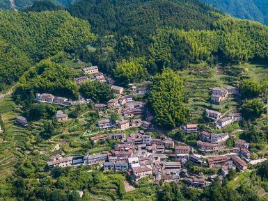 陈家铺村